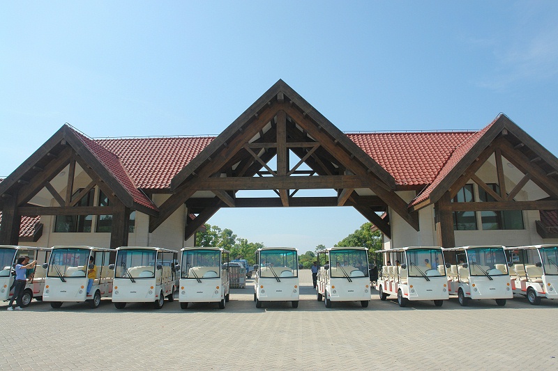 上海世紀森林公園