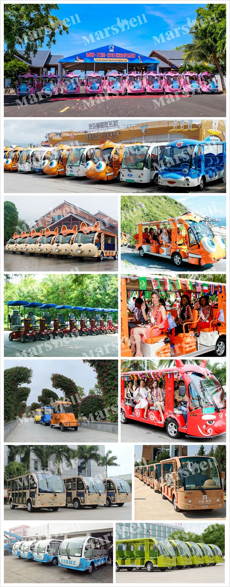 電動(dòng)觀光車