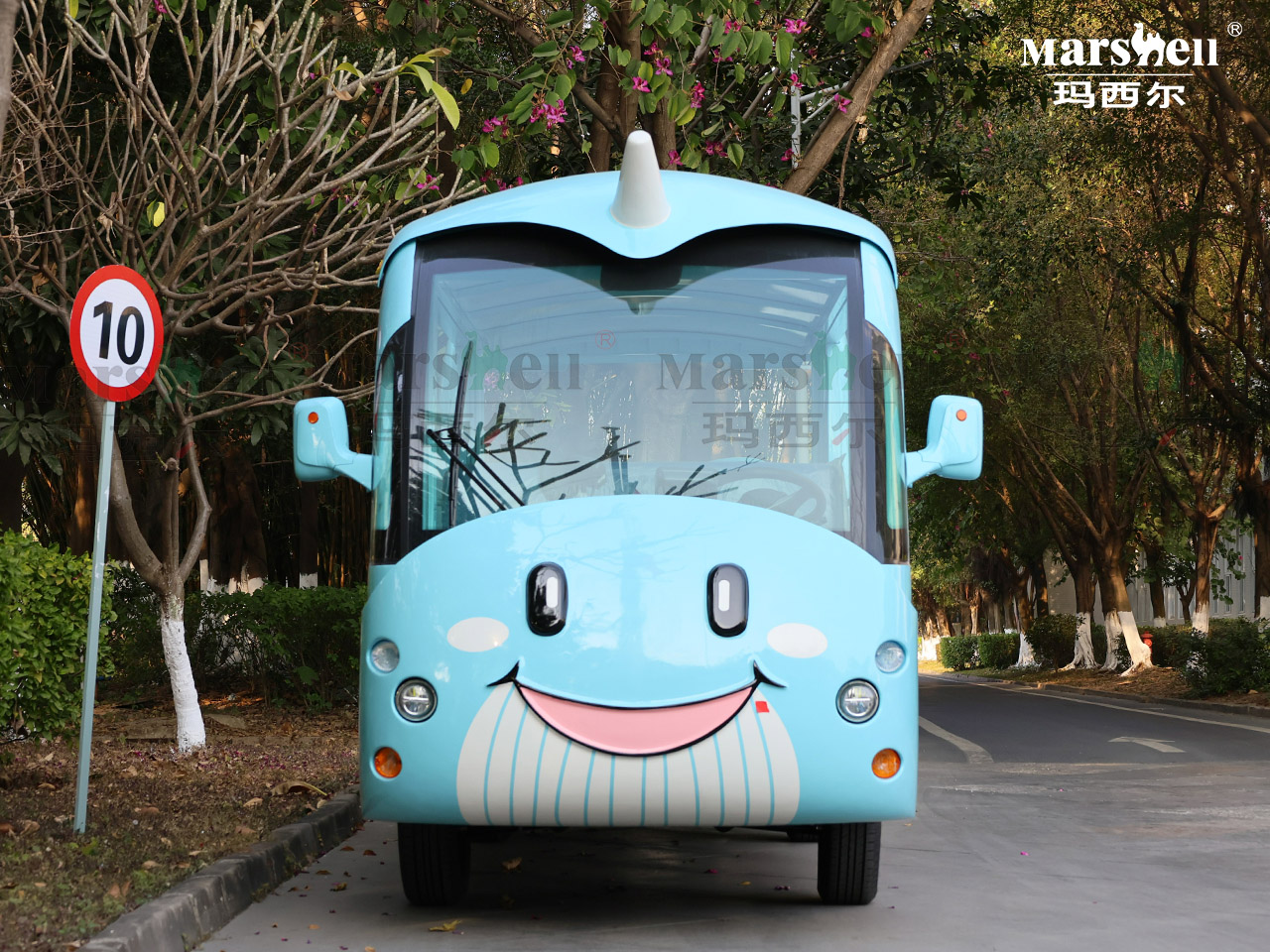 鯤主題造型電動(dòng)觀光車(chē)
