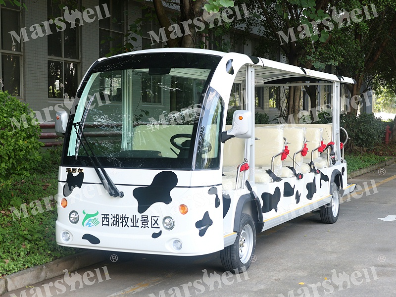 瑪西爾卡通電動車