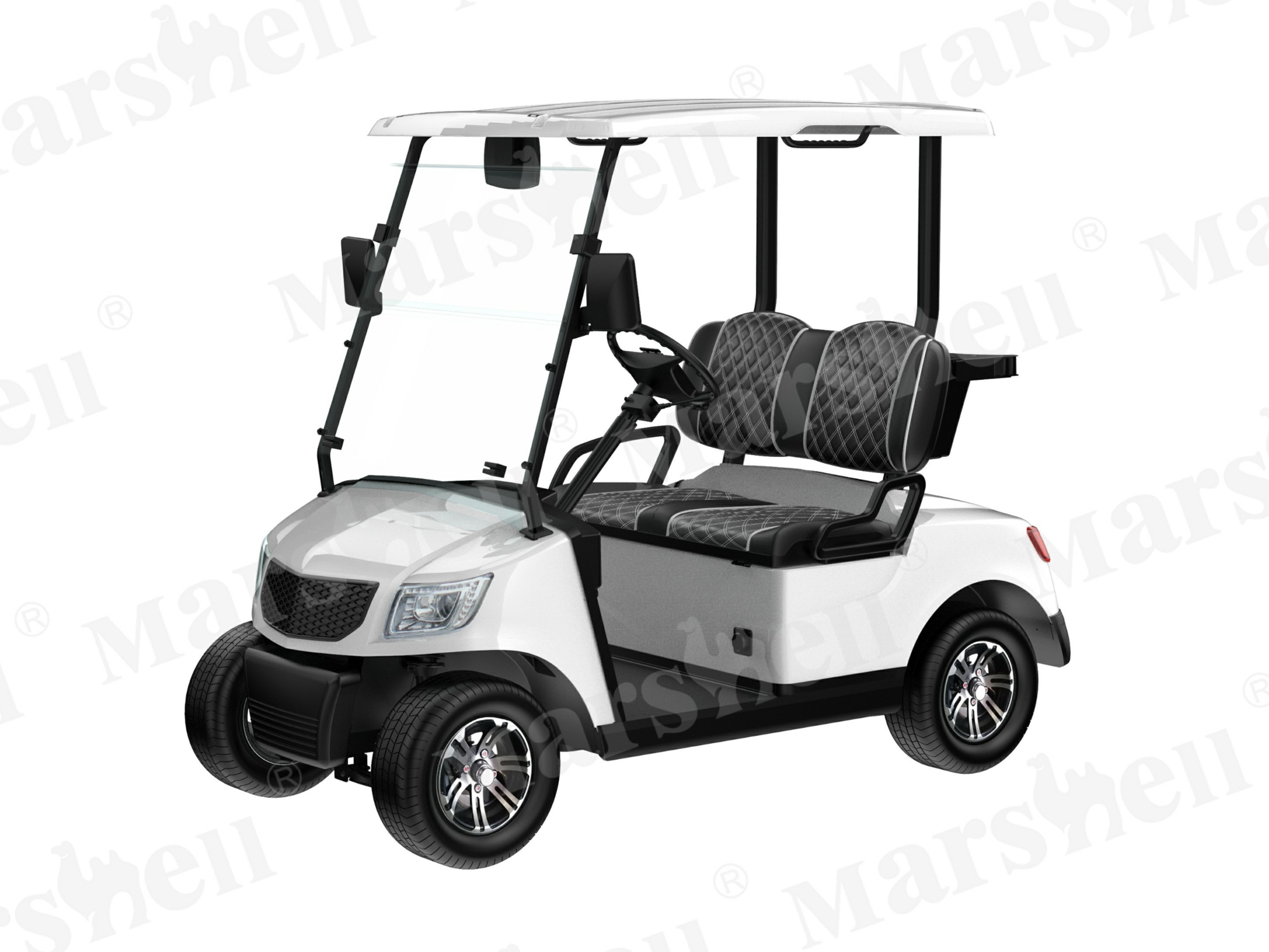 兩座電動(dòng)高爾夫球車