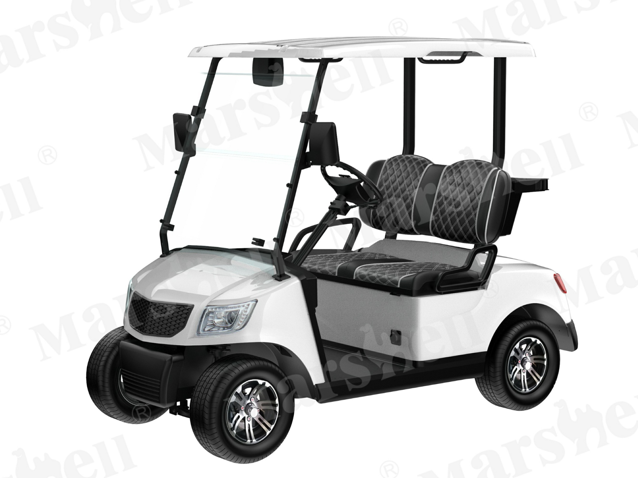 兩座電動(dòng)高爾夫球車