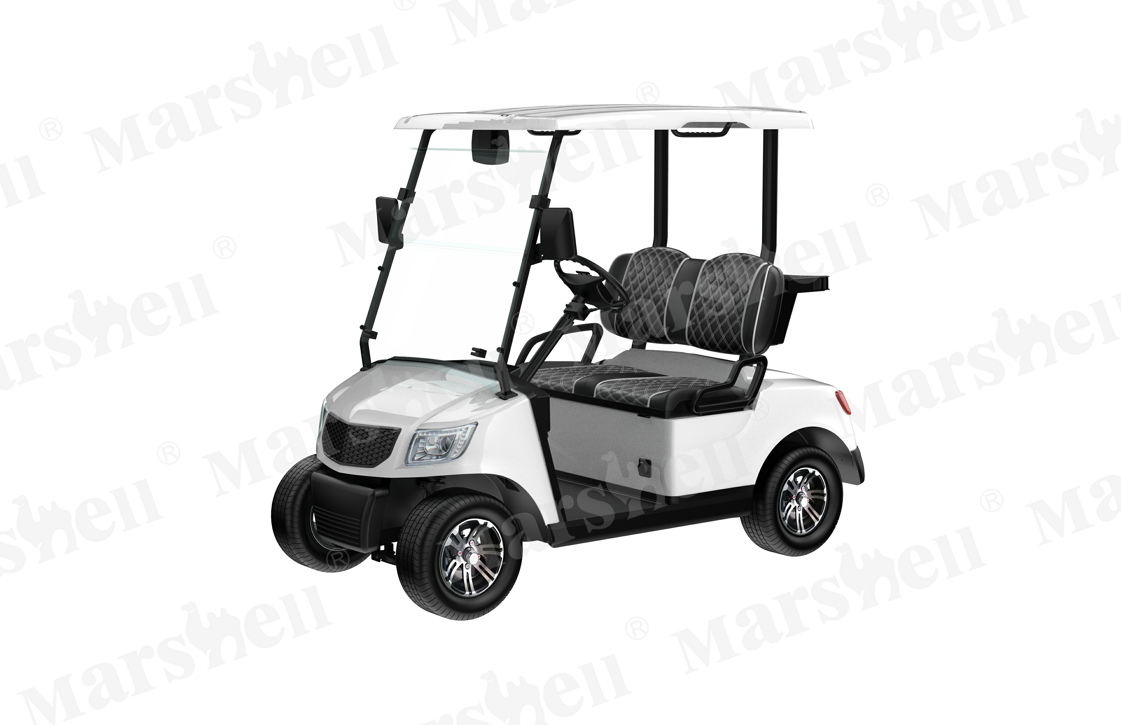 2坐電動(dòng)高爾夫球車