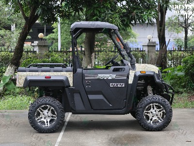 UTV全地形車(chē)