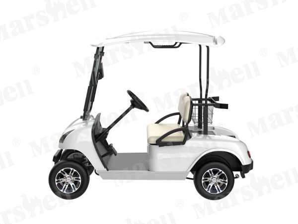 兩座電動高爾夫球車