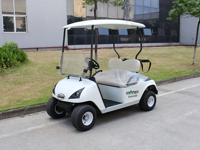 DG-C2二座高爾夫球車(chē)外觀(guān)簡(jiǎn)約