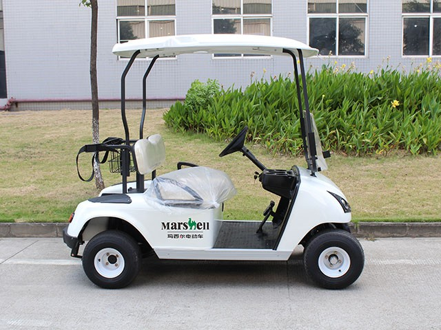 DG-C2二座高爾夫球車外