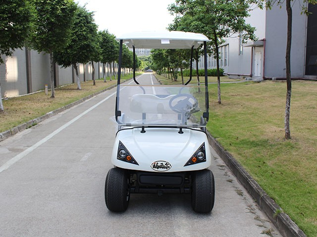 DG-C2二座高爾夫球車外