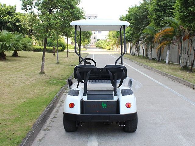 DG-C2二座高爾夫球車外