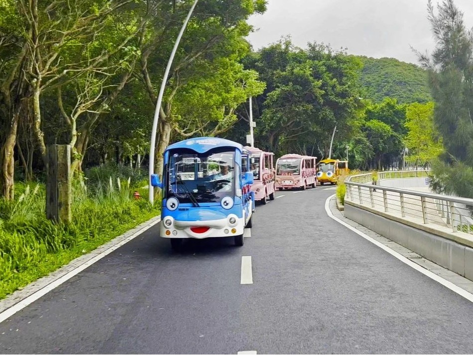 瑪西爾-電動觀光車廠家怎么樣