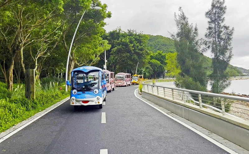 電動(dòng)觀(guān)光車(chē)