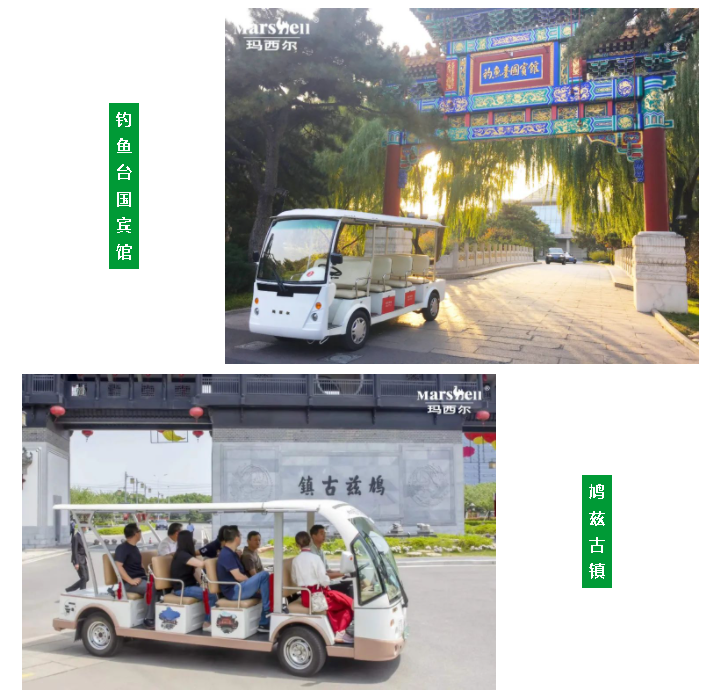 瑪西爾電動車案例