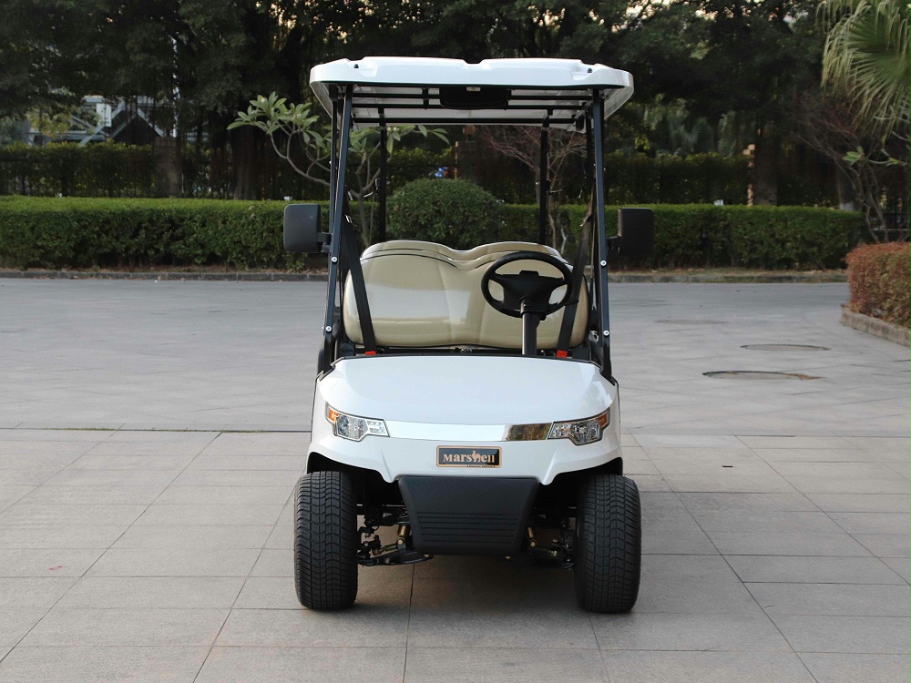 六座電動高爾夫球車DG-C6-8