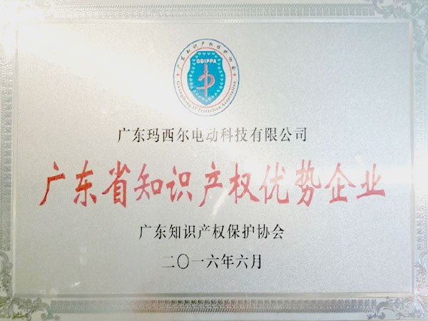 瑪西爾-廣東省知識(shí)產(chǎn)權(quán)優(yōu)勢(shì)企業(yè)