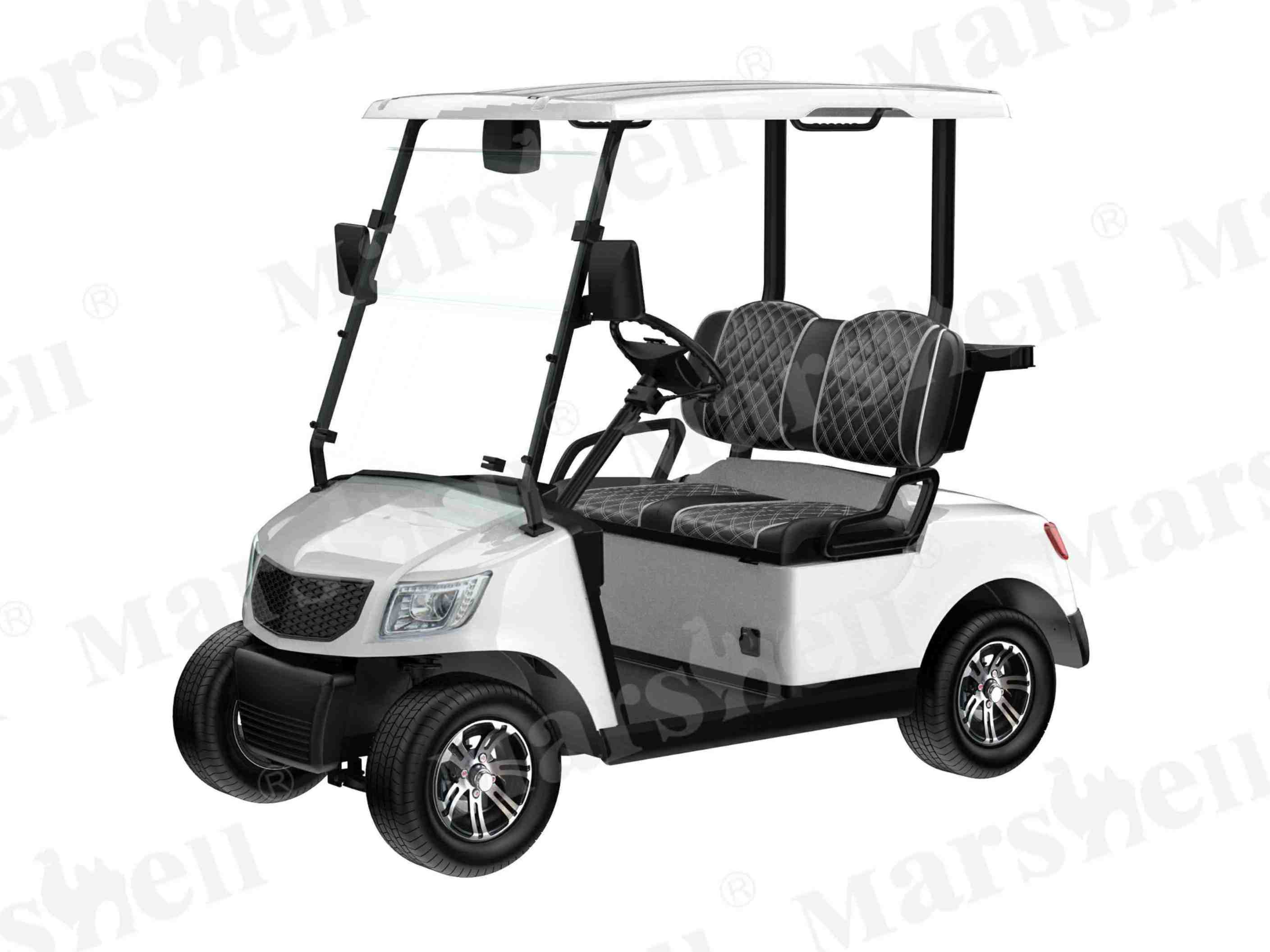 兩座電動(dòng)高爾夫球車