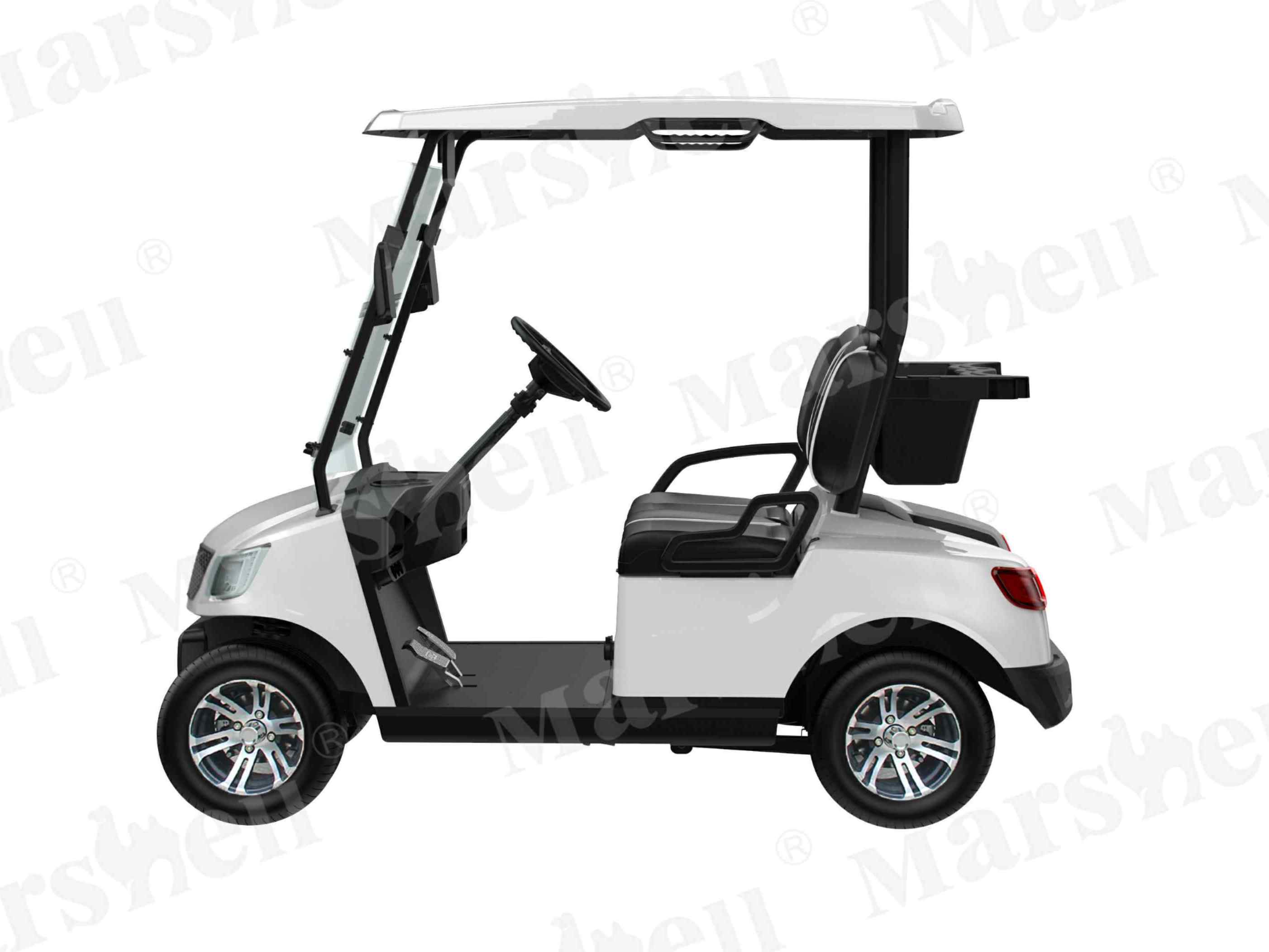 兩座電動高爾夫球車
