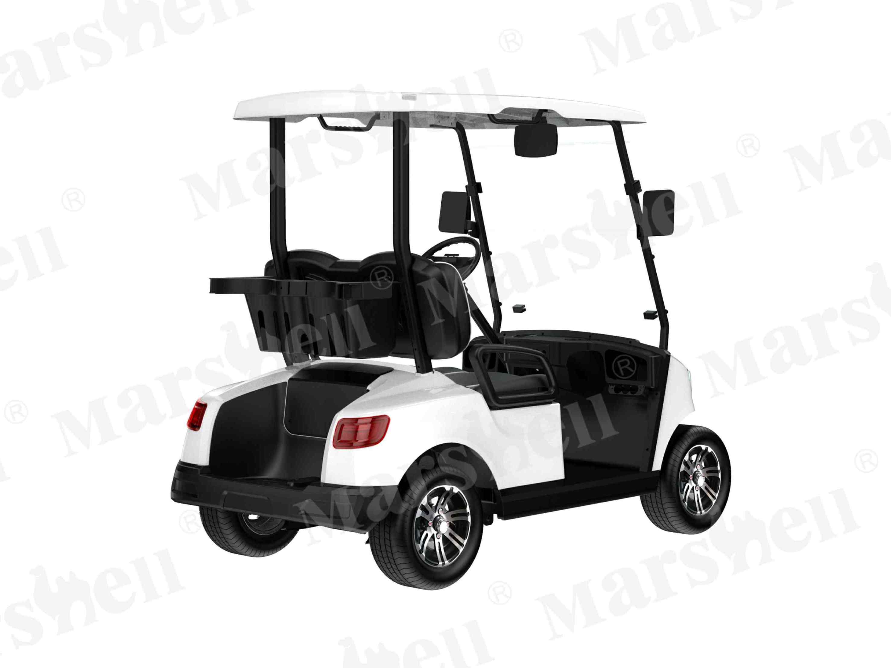 兩座電動高爾夫球車