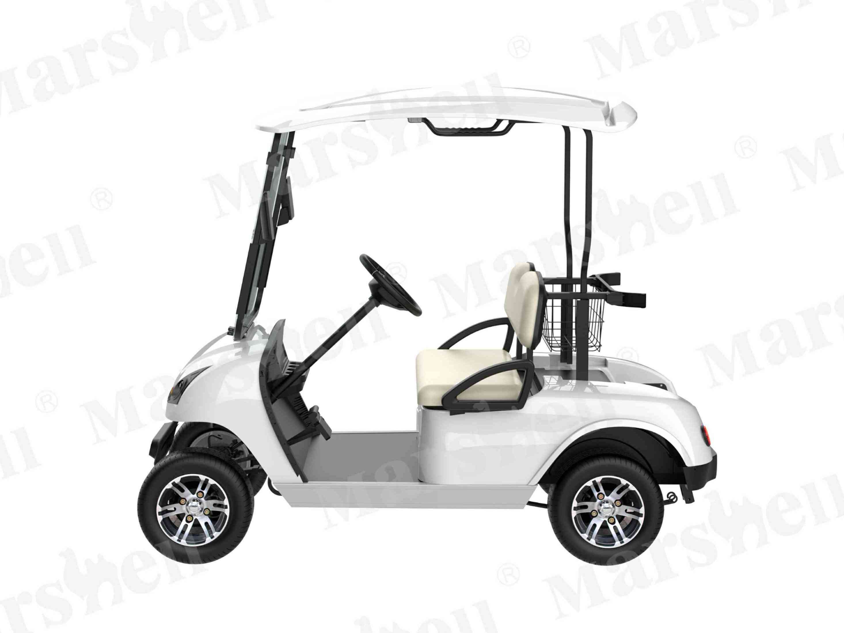 兩座電動高爾夫球車